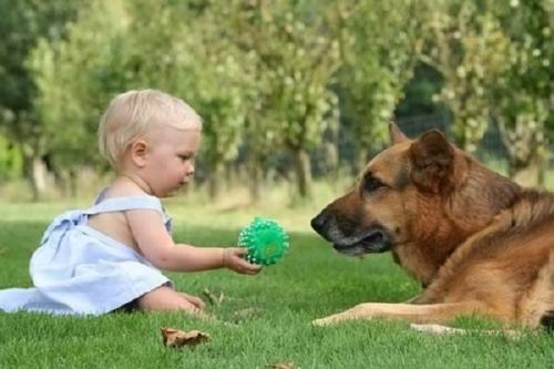 Como se Adopta un Niño en la Provincia de Tucuman